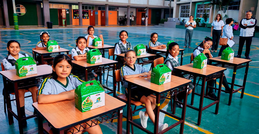 Programa de Alimentación Escolar PAE Perú
