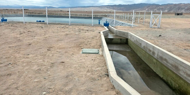 PSI entrega sistema de riego tecnificado Mascapampa, ubicado en la localidad de Huario-Ongoro, distrito de Aplao, provincia de Castilla, región Arequipa Perú