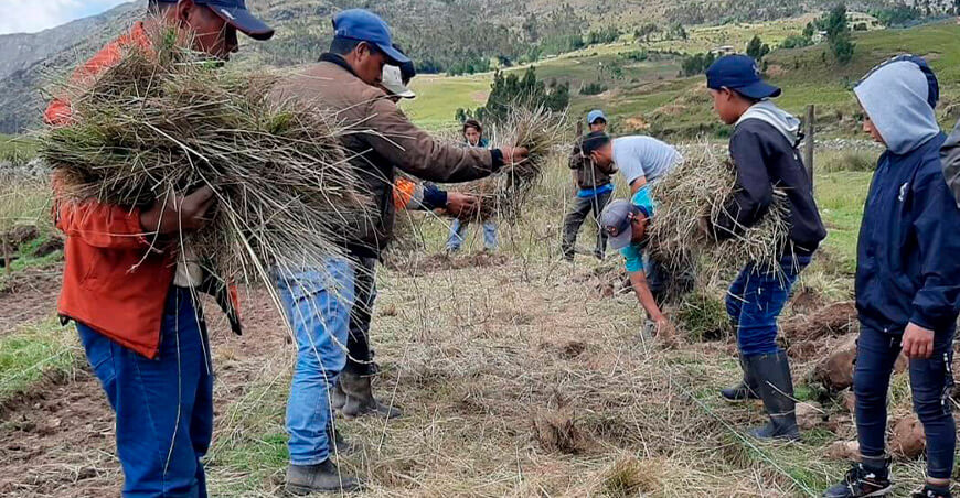 Conoce las alternativas para evitar la quema de rastrojos y prevenir incendios forestales Perú