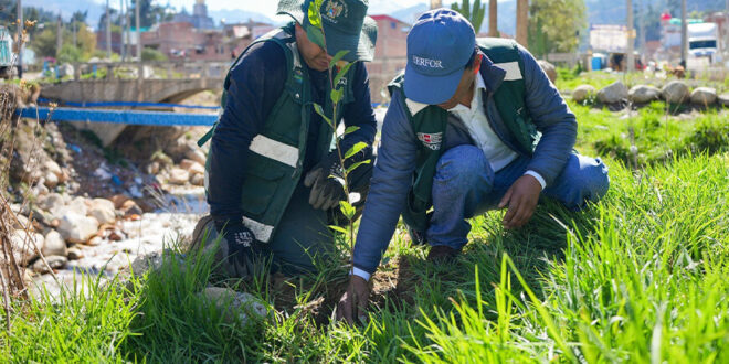 Serfor impulsa actividades en Áncash para promover la conservación de los bosques Perú