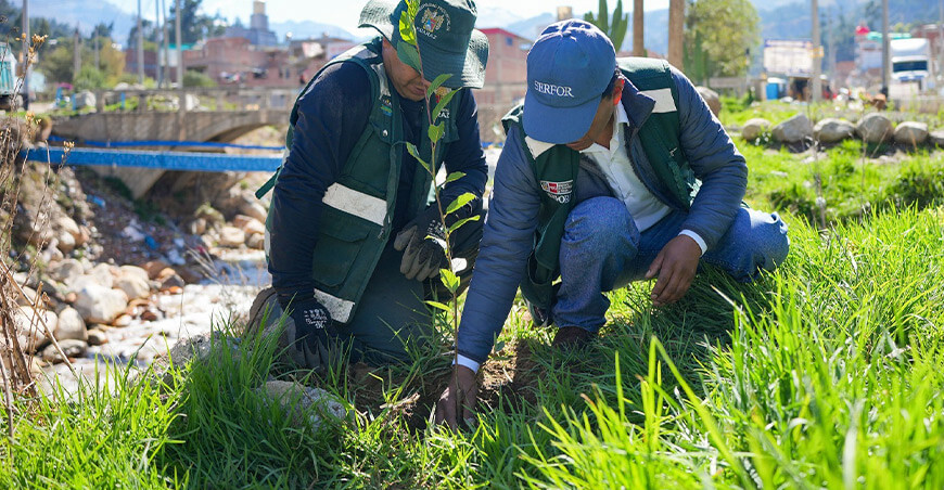 Serfor impulsa actividades en Áncash para promover la conservación de los bosques Perú