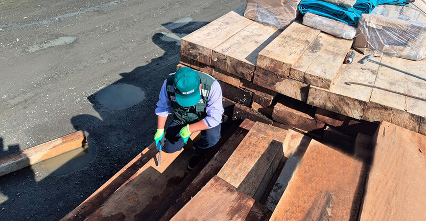 Serfor decomisó más de 28 000 pies tablares de madera Puno Perú