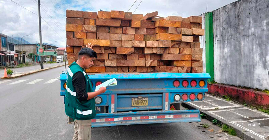 Serfor decomisó más de 28 000 pies tablares de madera Puno Perú