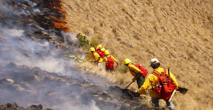 Sernanp extinguió 56 incendios forestales en áreas naturales protegidas Perú