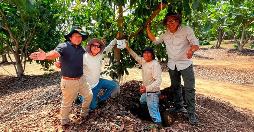 startup YakuSmart desarrolló y mejoró una plataforma tecnológica que ayuda a las agroexportadoras a optimizar el riego de sus cultivos y aprovechar de manera más eficiente los recursos hídricos y energéticos