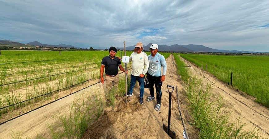 startup YakuSmart desarrolló y mejoró una plataforma tecnológica que ayuda a las agroexportadoras a optimizar el riego de sus cultivos y aprovechar de manera más eficiente los recursos hídricos y energéticos Perú
