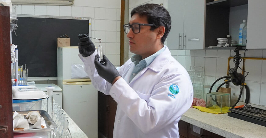 UNALM investiga los efectos de los plaguicidas malatión y alfacipermetrina sobre las lombrices de tierra Perú
