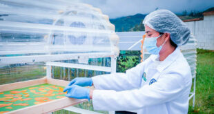 UNTRM evalúa tecnologías sostenibles para conservar frutas y aprovechar la energía solar Amazonas Perú