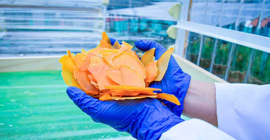 UNTRM evalúa tecnologías sostenibles para conservar frutas y aprovechar la energía solar Amazonas Perú