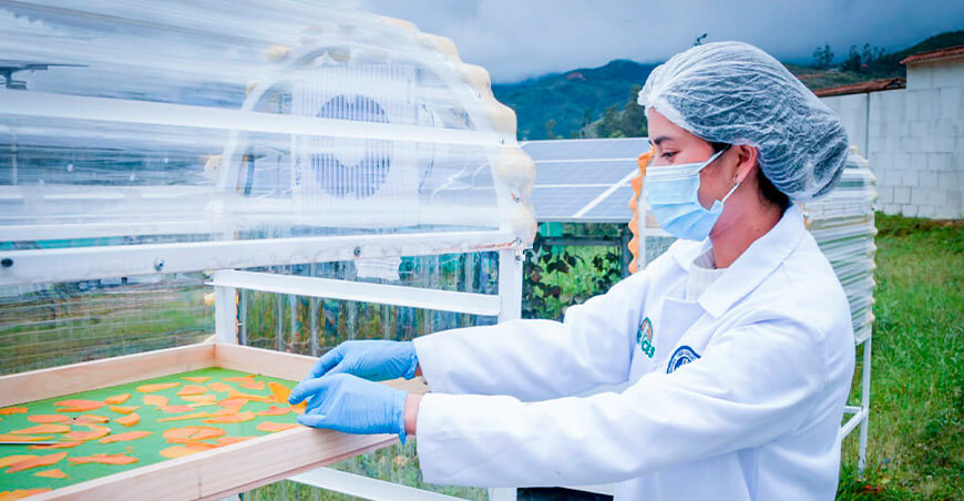 UNTRM evalúa tecnologías sostenibles para conservar frutas y aprovechar la energía solar Amazonas Perú