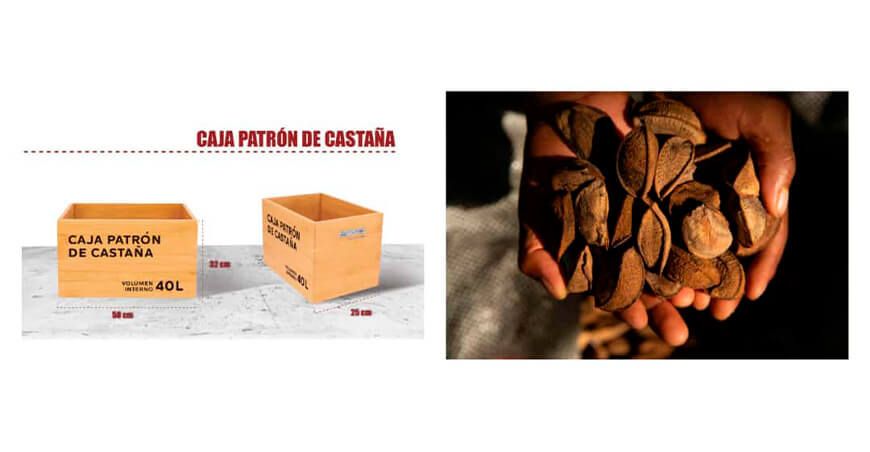 Inacal desarrolló una “caja patrón” para apoyar la comercialización de castaña amazónica