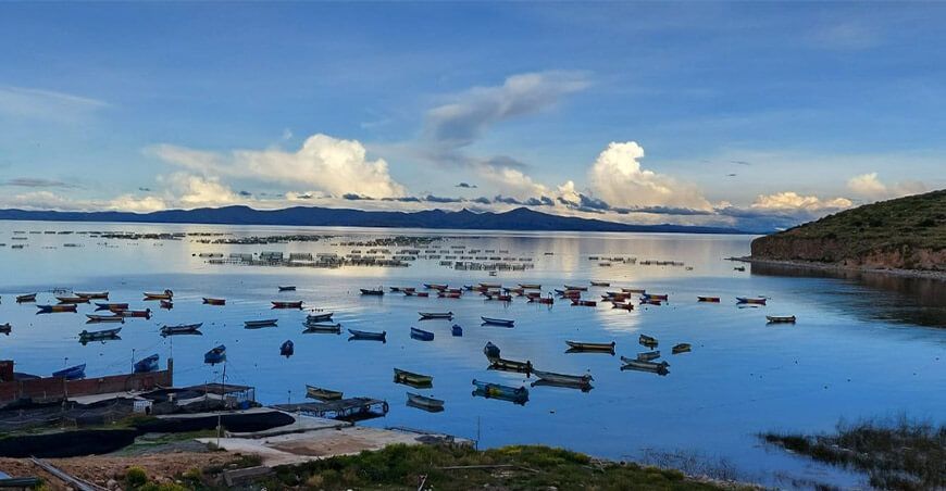 Impulsarán reproducción de peces nativos mediante artesas flotantes en el lago Titicaca