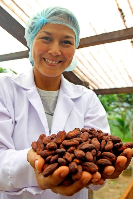 granos de cacao Perú