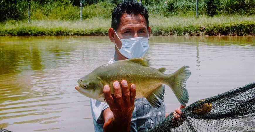 crianza de peces amazónicos Perú