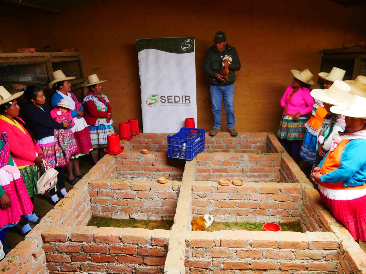 Áncash usan idioma quechua para capacitar a mujeres sobre crianza de cuyes