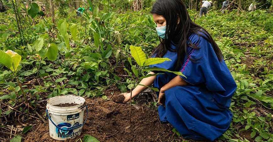 Capacitan a productores del Vraem en técnicas de abonamiento de cacao