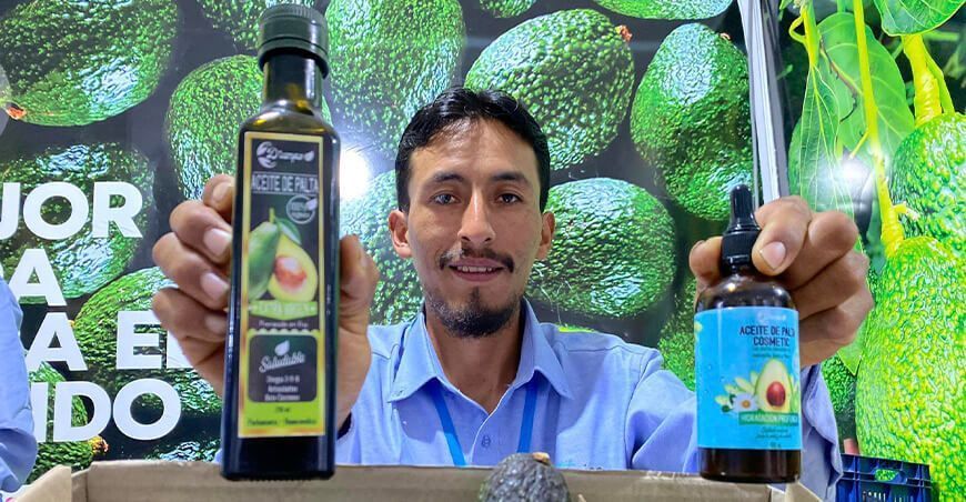 Huancavelica elaboran aceite de palta para uso culinario y en estética