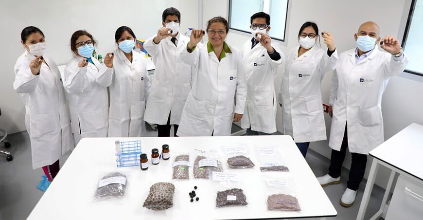 aceite de sinami 