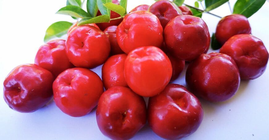 Acerola fruta de Ucayali