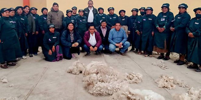 acopio de fibra de alpaca Perú