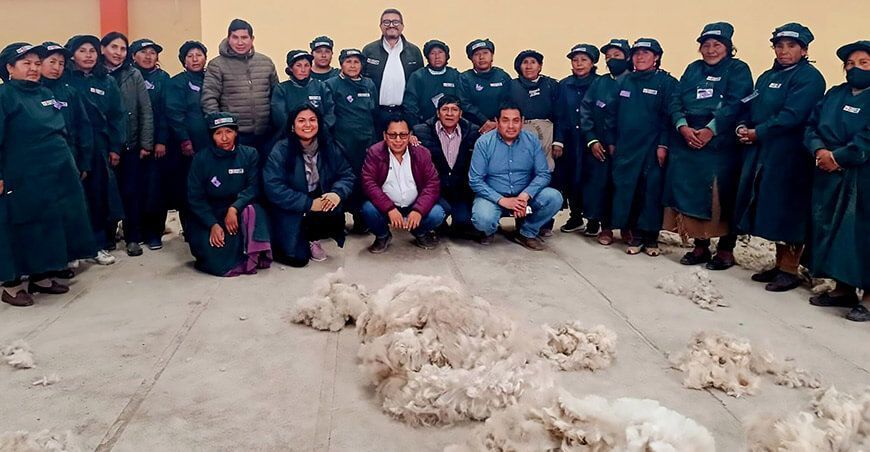 acopio de fibra de alpaca Perú