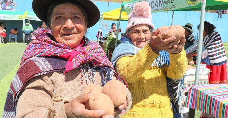 Adultos mayores rescatan el trueque ancestral en Pasco