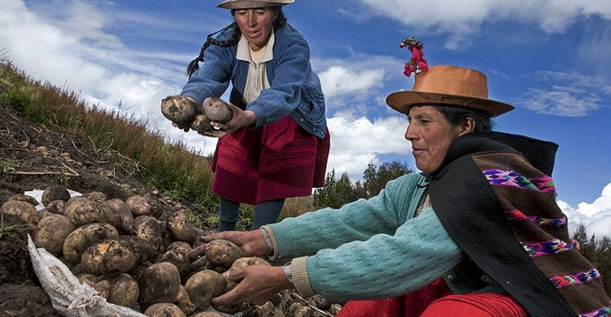 desarrollo sostenible de la agricultura familiar