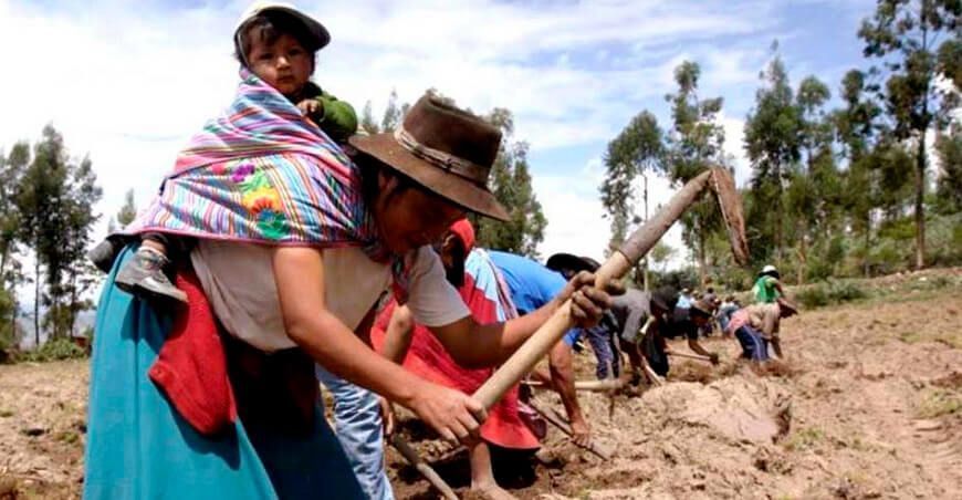 agricultores en campaña agrícola Perú