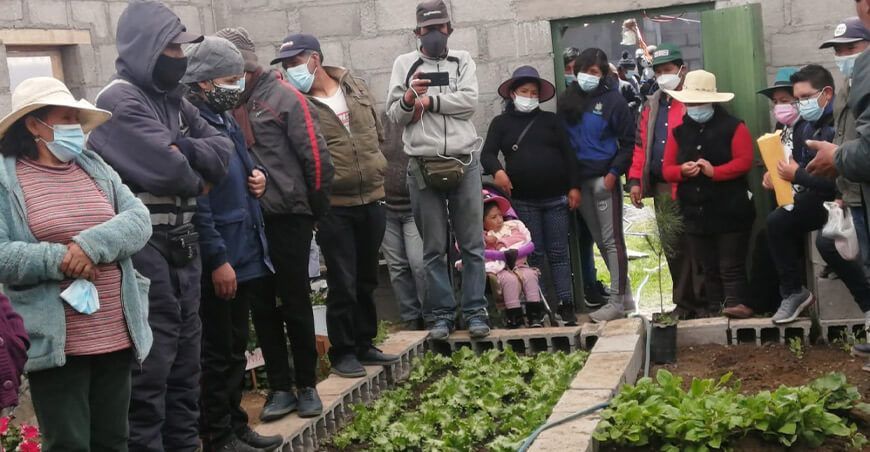 capacitarán a 350 familias en técnicas de producción de hortalizas en fitotoldos