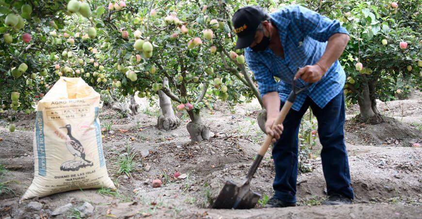 abono y fertilizantes