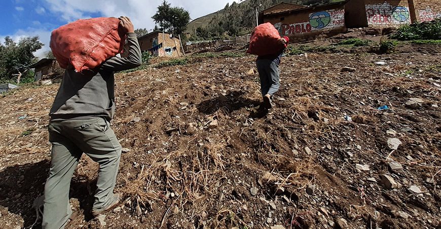Día del Campesino, homenaje a nuestro héroes del campo