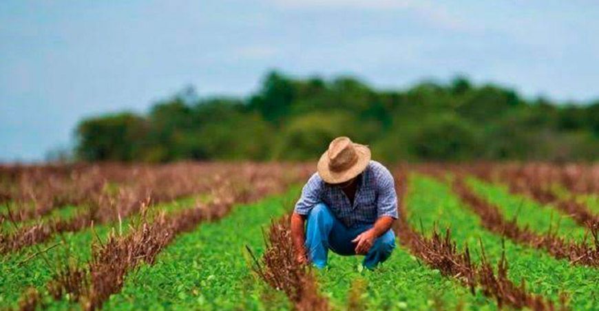 agricultores América Latina