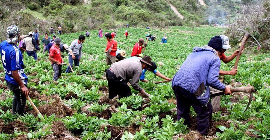 Agricultores del Perú