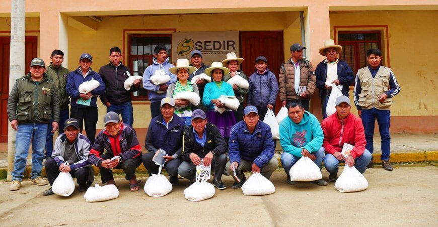 agricultores de Pichiu buscan convertirse en semilleristas de maíz choclo