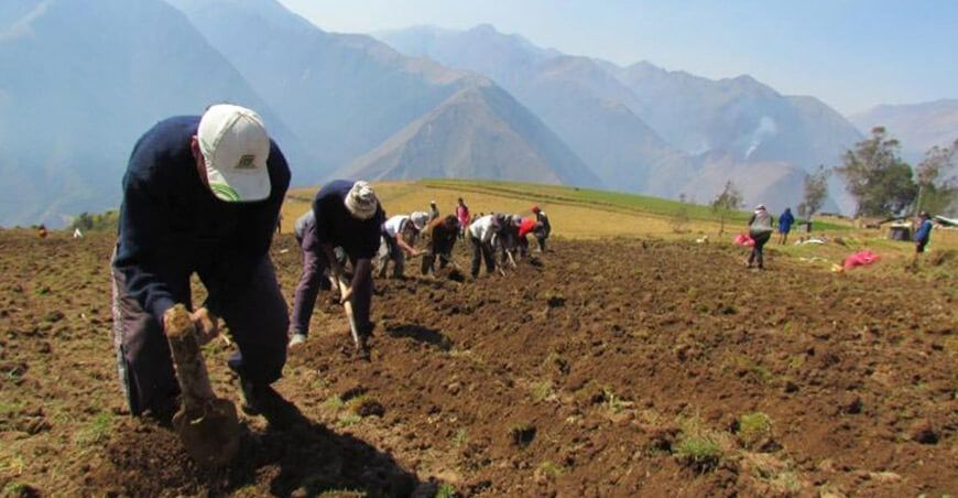 Campaña agrícola productores Perú