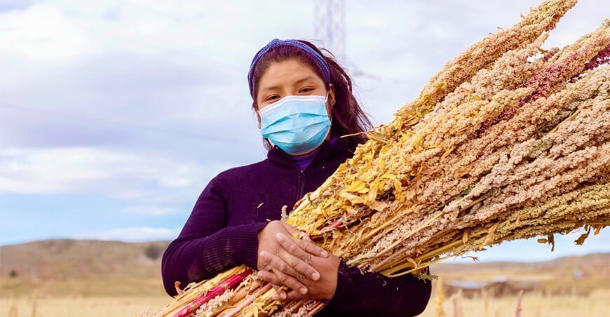 productora de quinua Ayacucho Perú