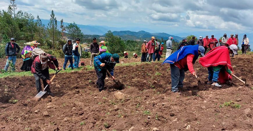 pequeños productores o agricultores del Perú, campaña agrícola