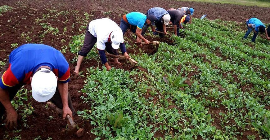 Agricultores del Perú