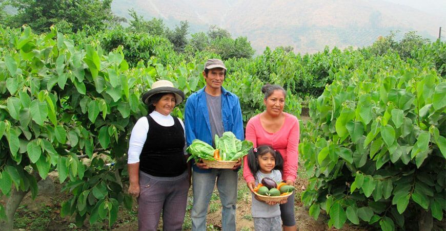 instrumento para fortalecer el avance de la agricultura ecológica