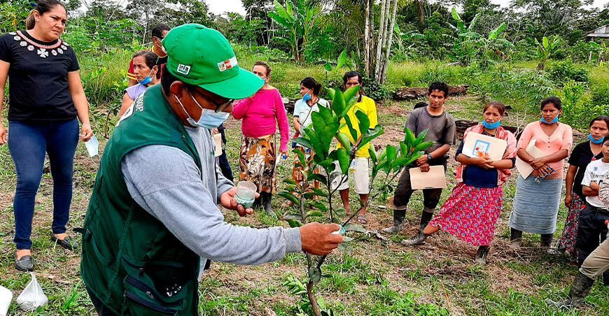 Aprueban ley que regula el servicio de extensión agropecuaria