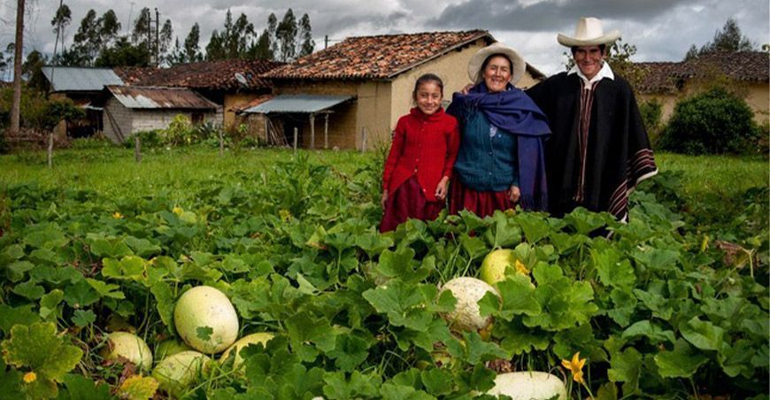 agricultura familiar Perú