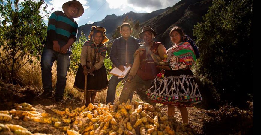 productores de oca Perú