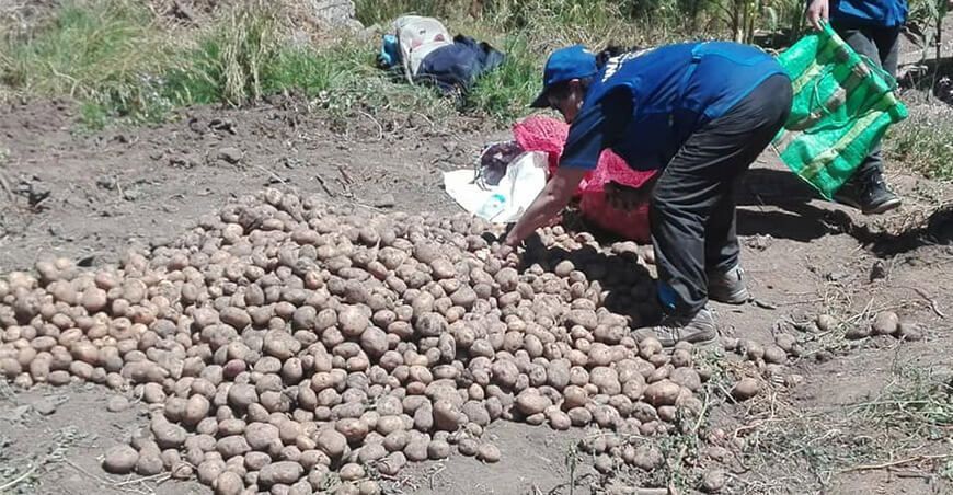 Agricultura Familiar