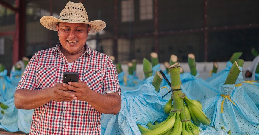 agricultura inteligente digitalización