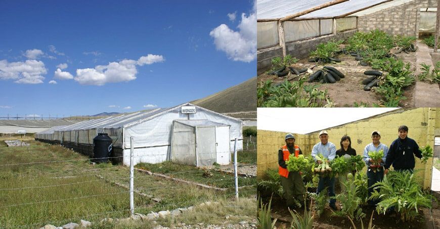 Agricultura en invernaderos y fitotoldos en los Andes