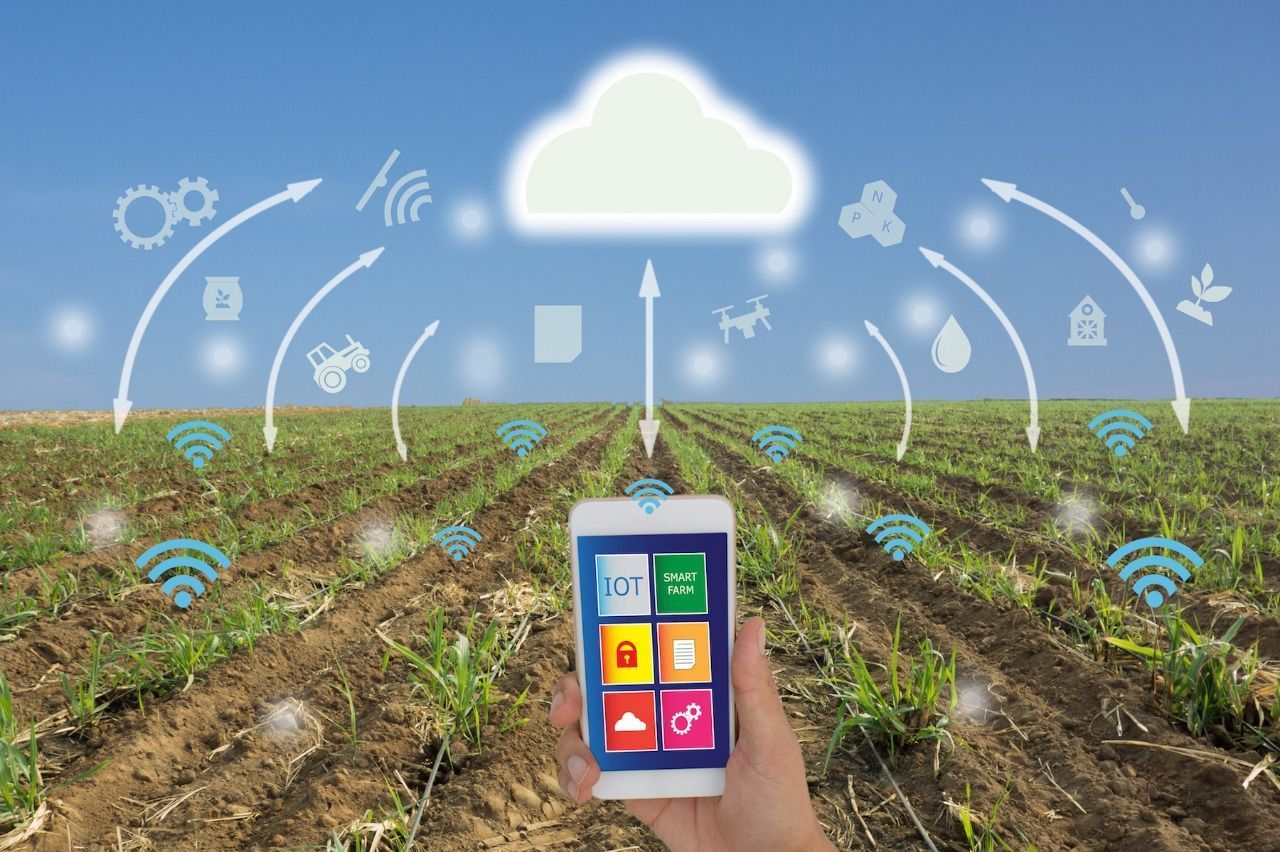 El rol de las tecnologías inteligentes en la agricultura sustentable en Perú