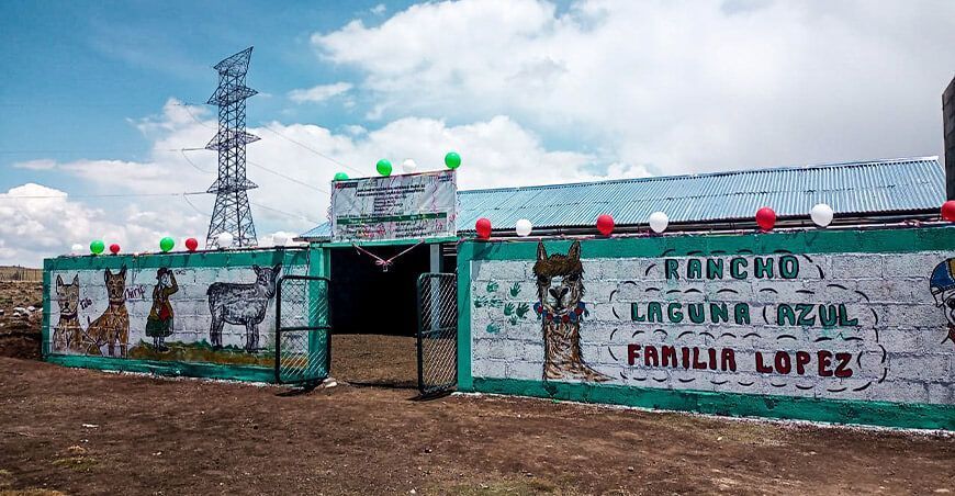 Agro Rural cobertizos alpacas y ovinos Pasco