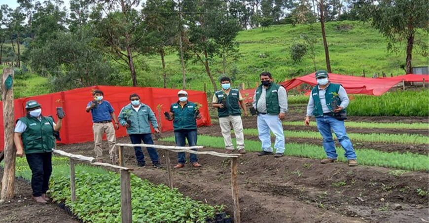 Agro Rural instalará 30,000 plantones forestales en Piura
