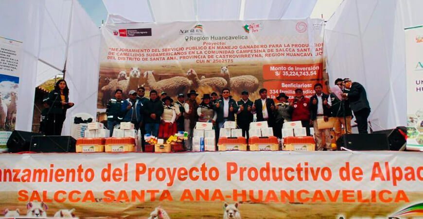 Agro Rural ejecuta proyecto de más de S/34 millones para alpaqueros en Huancavelica