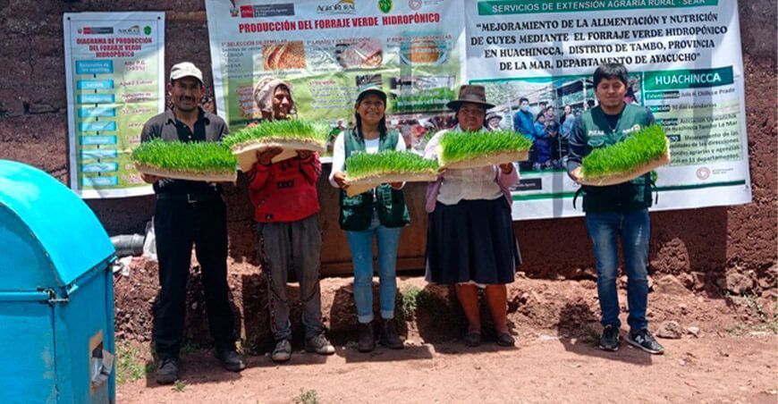Agro Rural lanza tercera convocatoria SEAR